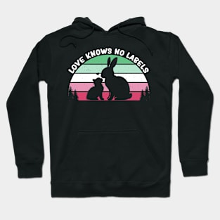 Abrosexual Pride Flag Lgbtq Abro Month Hoodie